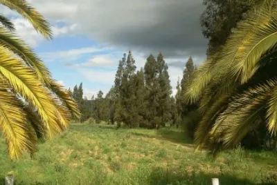 Paisaje