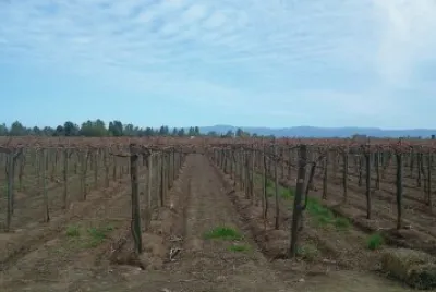 Paisaje