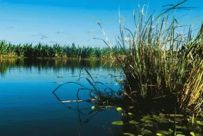 En Esteros del IberÃ¡. Corrientes. Argentina