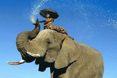 imagens