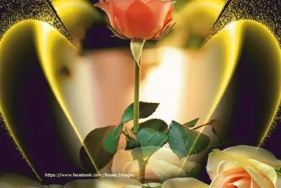 imagens jigsaw puzzle