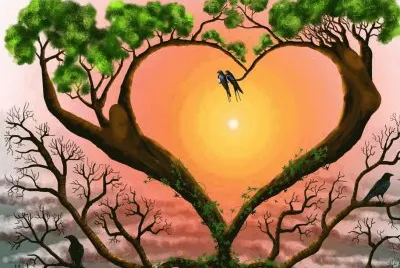 imagens