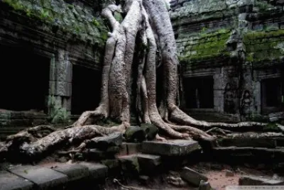 Angkor Wat Temple, Cambodia HD jigsaw puzzle