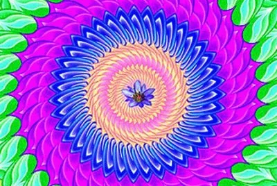 draw