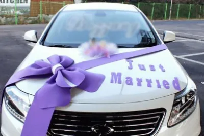 Just Married Car Decorations