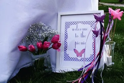 Welcome to the Butterfly Picnic
