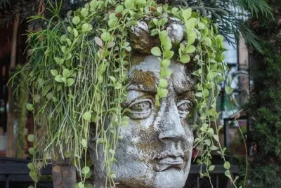 Green jigsaw puzzle
