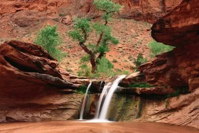 פאזל של Cascada