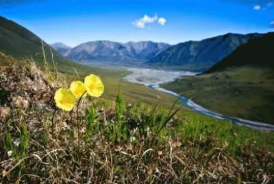 NATUREZA