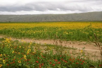 En la Provincia de Catamarca. Argentina