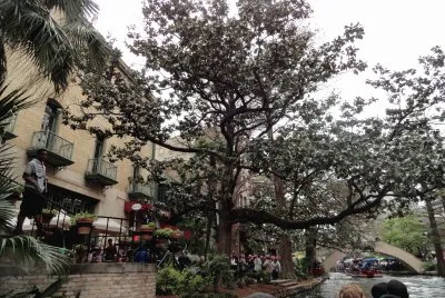 San Antonio River Walk (4)