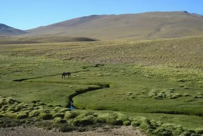 Llano Grande. Mendoza. Argentina