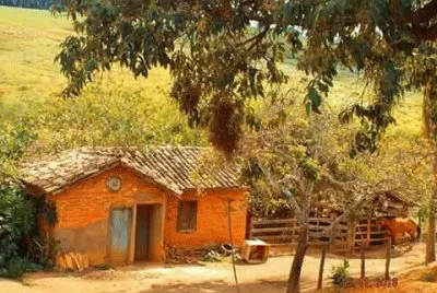 פאזל של roÃ§a