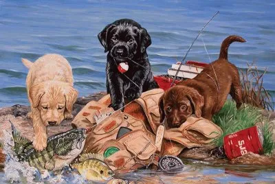 cÃ£ezinhos