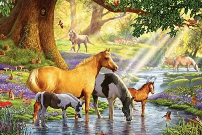 cavalos