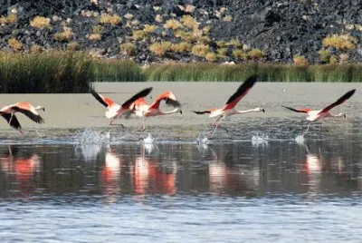 Laguna Diamante. Catamarca. Argentina