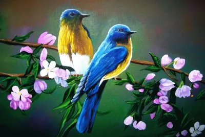 Beautiful Birds