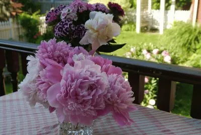 Pretty Fresh Cut Flowers