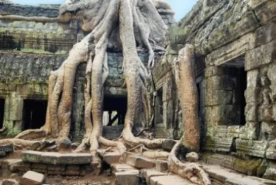 The Temple,Ta Prohm, Siem Reap, Cambodia jigsaw puzzle