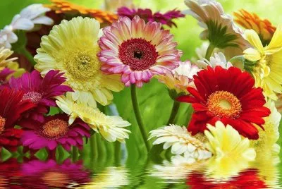 flor
