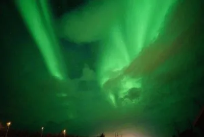 Bella Aurora