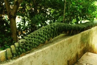Ornamento verde