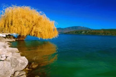 NATUREZA