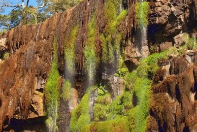En el PN IguazÃº. Misiones. Argentina