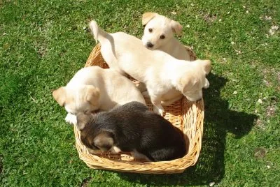 i miei tesori