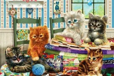 gatinhos