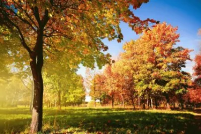 natureza
