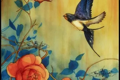 Beautiful Bird