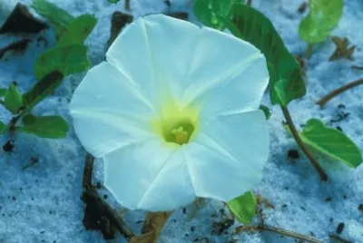 92