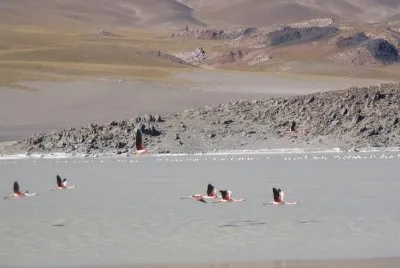 Laguna Grande. Catamarca. Argentina