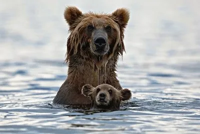 mom#216