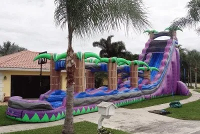 Inflatable Water Slide-Whee!