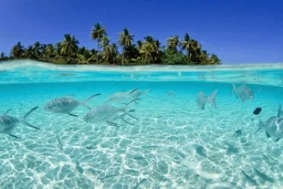 isla la tortuga