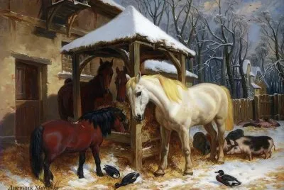 cavalos