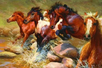 cavalos