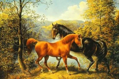 cavalos