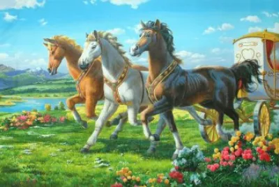 cavalos