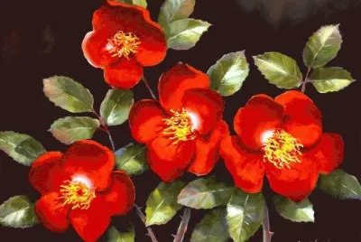 flor jigsaw puzzle