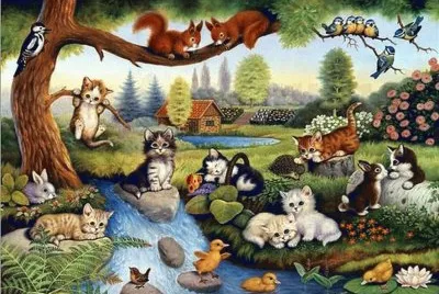 gatos