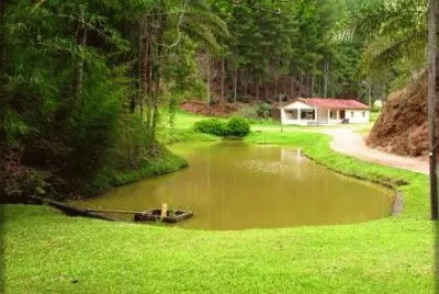 lago