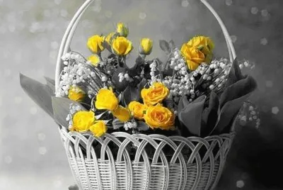 imagens jigsaw puzzle