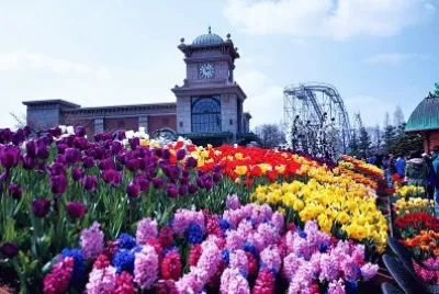 Flower Festival-Everland, Korea
