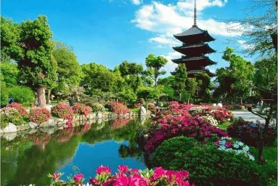 japanese garden