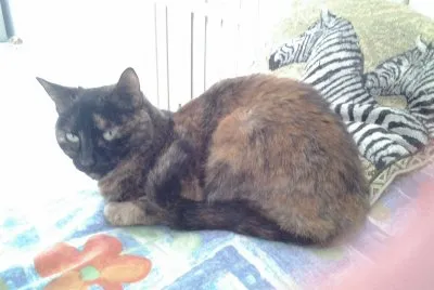Luna