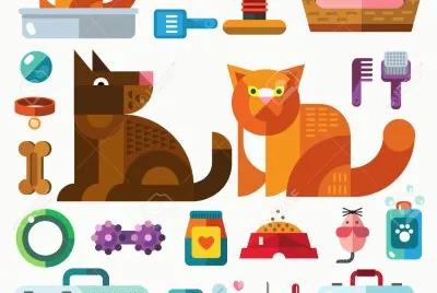 gatos