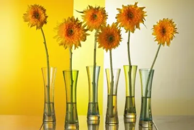 Flowers jigsaw puzzle